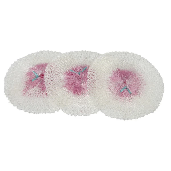 Campingaz GLÜHSTRUMPF GRÖßE S NOCOLOR 3 Campingaz GLÜHSTRUMPF GRÖßE S NOCOLOR