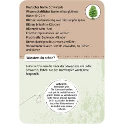 Moses Verlag EXPEDITION NATUR 50 HEIMISCHE BÄUME Reisespiel NOPUBLISHER -Outdoor Abenteuer Verkauf 258786 c 50 heimische baeume