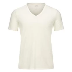 Icebreaker M ANATOMICA SS V Herren Funktionsunterwäsche SNOW