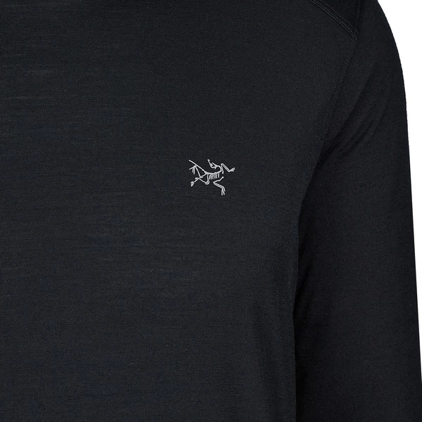 Arc'teryx IONIA MERINO WOOL HOODY M Herren Baselayer BLACK 5 Arc'teryx IONIA MERINO WOOL HOODY M Herren Baselayer BLACK – Bild 3